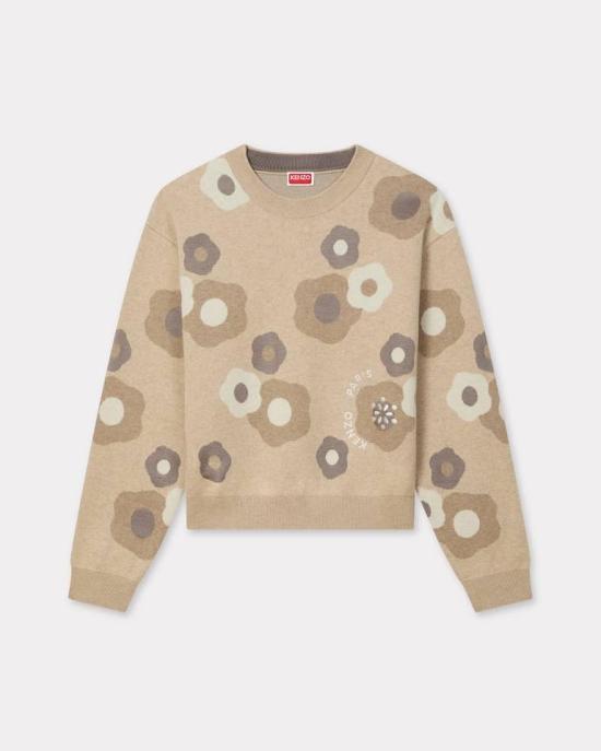 25FW 겐조 스웨터 FF62PU7153CR 11 Beige