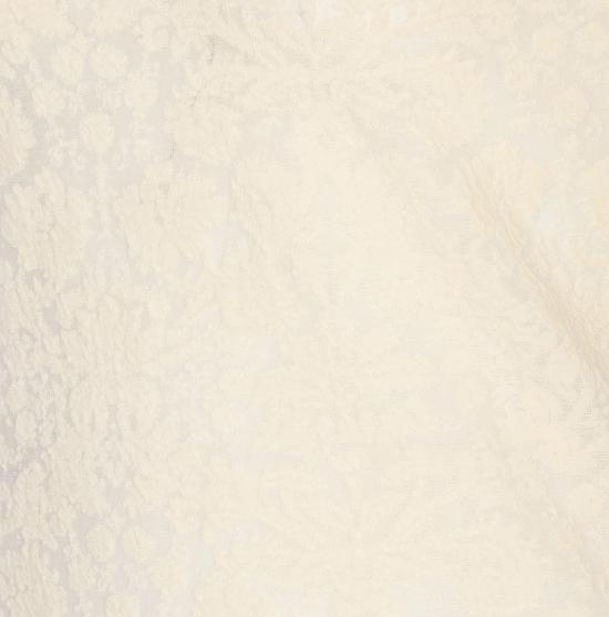 25FW 핑코 스웨터 105697 A2TWC03 White - PINKO