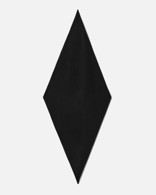 25FW 리에르 머플러/스카프 AXS30X02 BLACK BLACK FLEECE