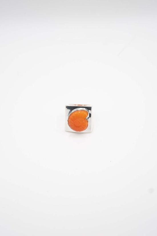  노미아 반지 조각 노틸러스 조개 - NOMIA