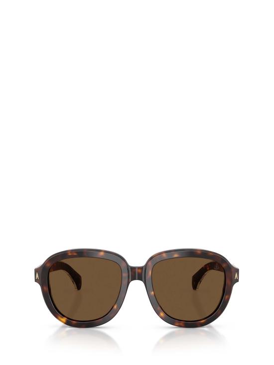 26FW 몽클레어 CIRSEE 시르시 파일럿 선글라스 ME6007U 300273 SHINY DARK HAVANA