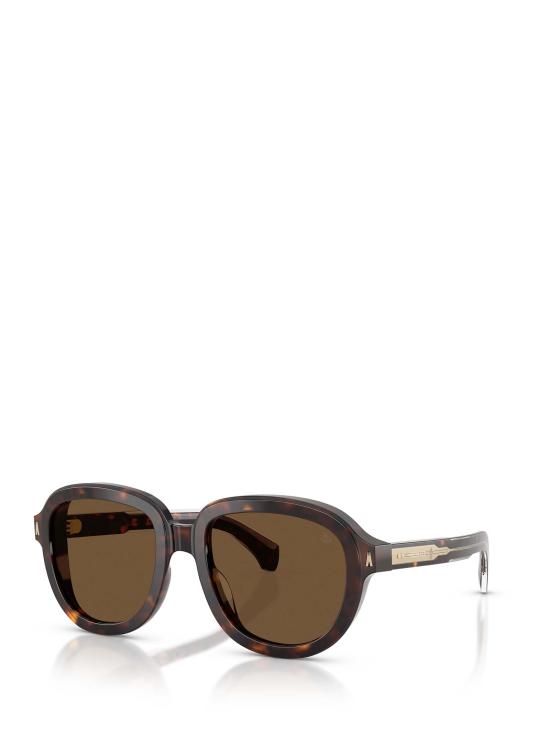 26FW 몽클레어 CIRSEE 시르시 파일럿 선글라스 ME6007U 300273 SHINY DARK HAVANA - MONCLER