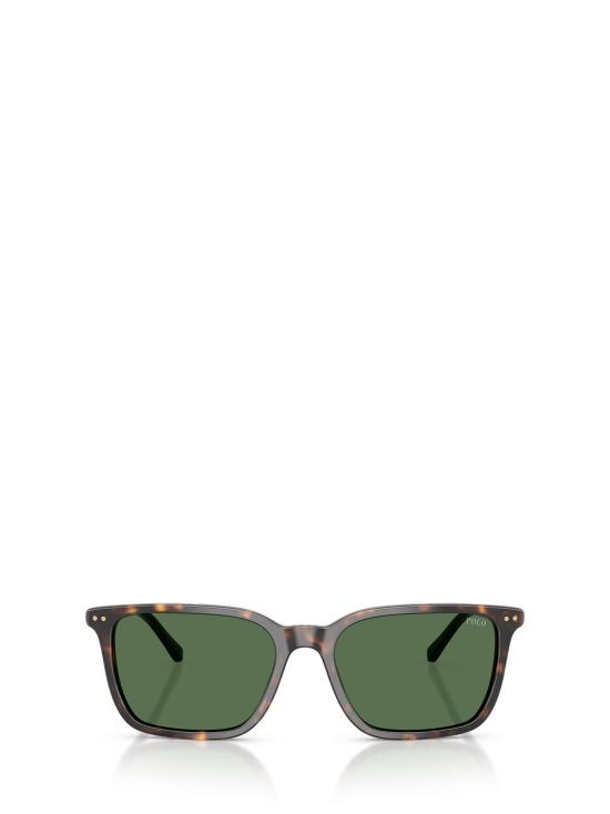 26FW 폴로 랄프로렌 선글라스 PH4226 567371 SHINY DARK HAVANA