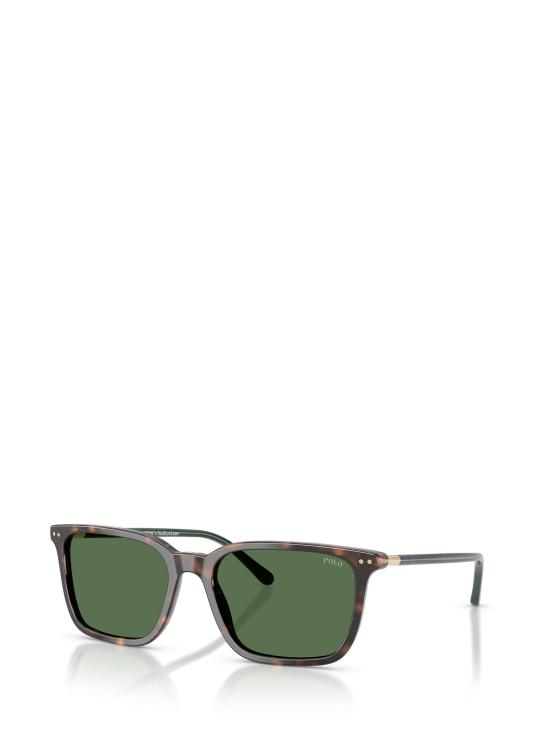 26FW 폴로 랄프로렌 선글라스 PH4226 567371 SHINY DARK HAVANA - POLO RALPH LAUREN