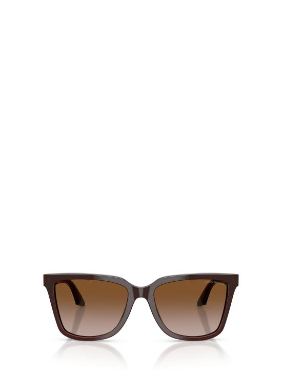 26FW 엠포리오 아르마니 선글라스 EA4261 631813 TRANSPARENT BROWN TEAL