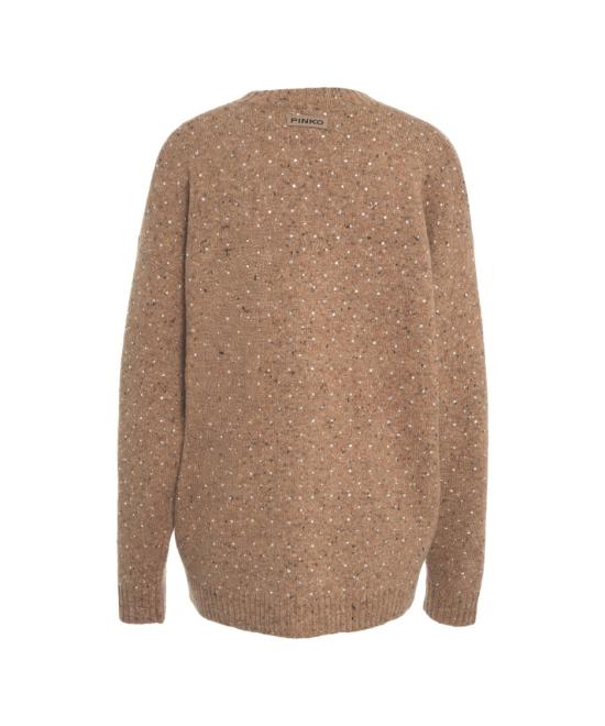 25FW 핑코 가디건 105739 A2U4 Brown - PINKO