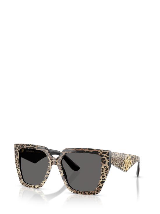 25FW 돌체앤가바나 선글라스 DG4438 316387 LEO BROWN ON BLACK - DOLCE & GABBANA