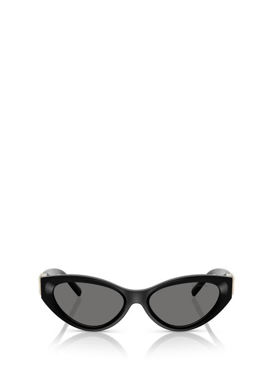 26FW 티파니앤코 선글라스 TF4225U 8001S4 BLACK