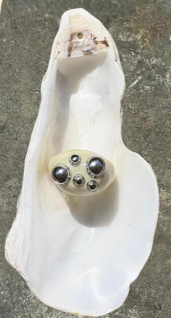  Frankie Playground 반지 프랭키 플레이그라운드 디스코 버터 링