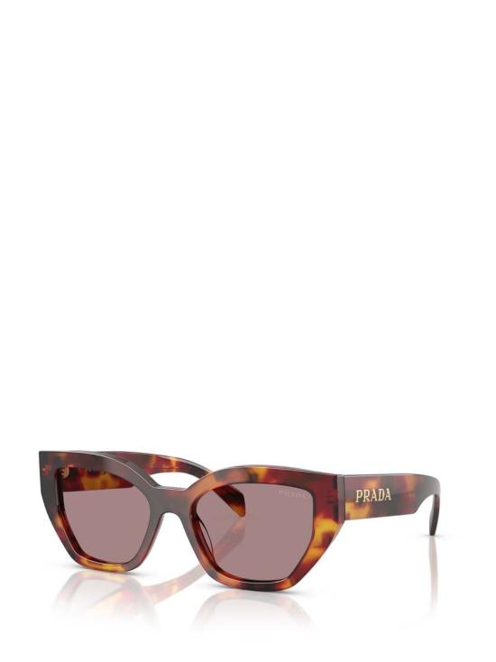 25FW 프라다 안경 00 538201314 PR A09S 22A20I POPPY TORTOISE - PRADA