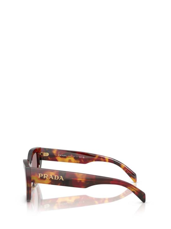 25FW 프라다 안경 00 538201314 PR A09S 22A20I POPPY TORTOISE - PRADA