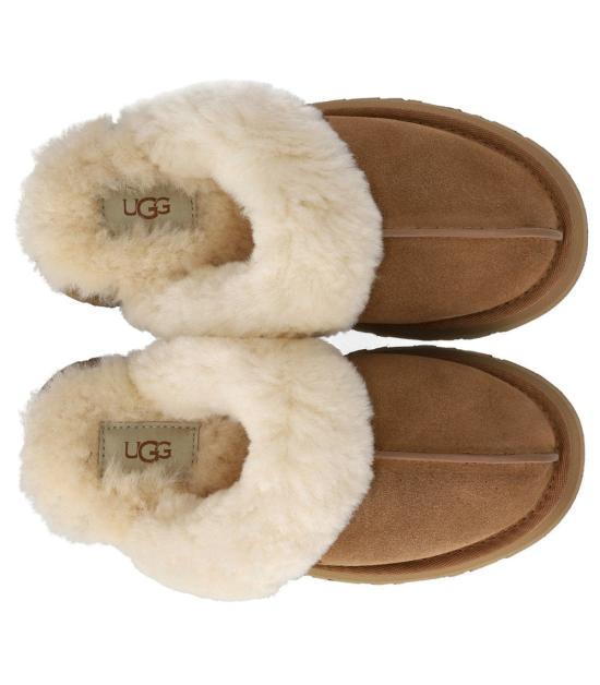 25FW 어그 디스케트 슬리퍼 1122550 CHE 36 Brown - UGG