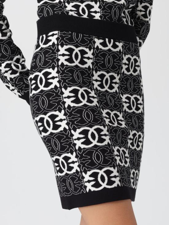 25FW 핑코 미디 스커트 106040A2YD ZZ2 Black - PINKO