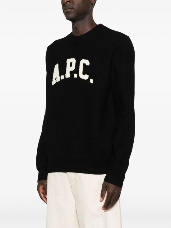 26FW 아페쎄 스웨터 WVBDKH23458LZZ Black - A.P.C.