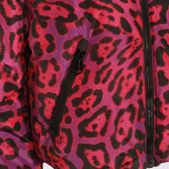 25FW 골드버그 숏패딩 GB020102540015 JAGUAR CARNIVALE - GOLDBERGH