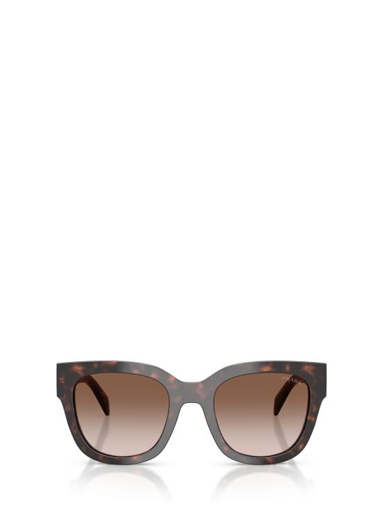 26FW 프라다 선글라스 PR C04S 17N80A ROOT TORTOISE