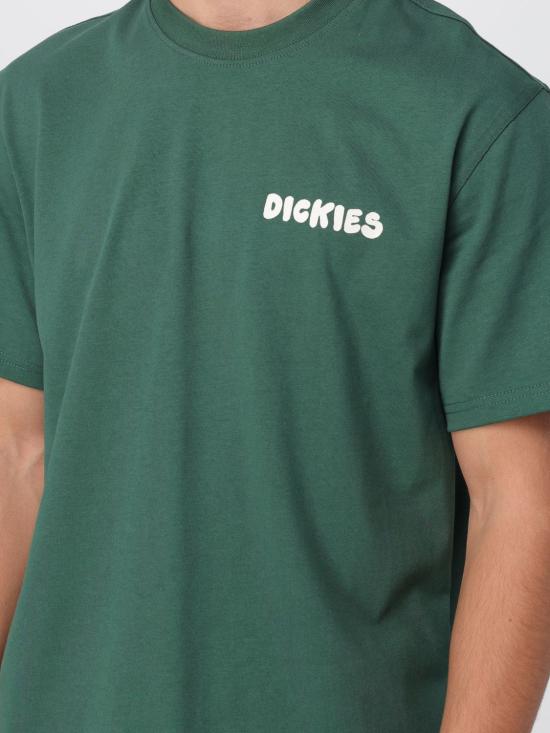 25FW 디키즈 반팔 티셔츠 DK0A87QU PIN1 Green - DICKIES