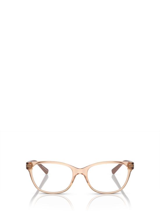 25FW 알마니 안경 AX3037 8342 SHINY TRANSPARENT TUNDRA