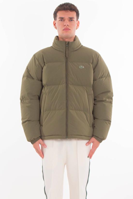 25FW 라코스테 패딩 BH5154 E9F Green
