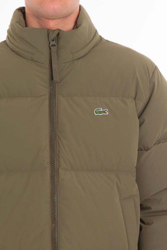 25FW 라코스테 패딩 BH5154 E9F Green - LACOSTE