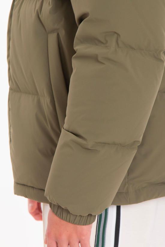 25FW 라코스테 패딩 BH5154 E9F Green - LACOSTE