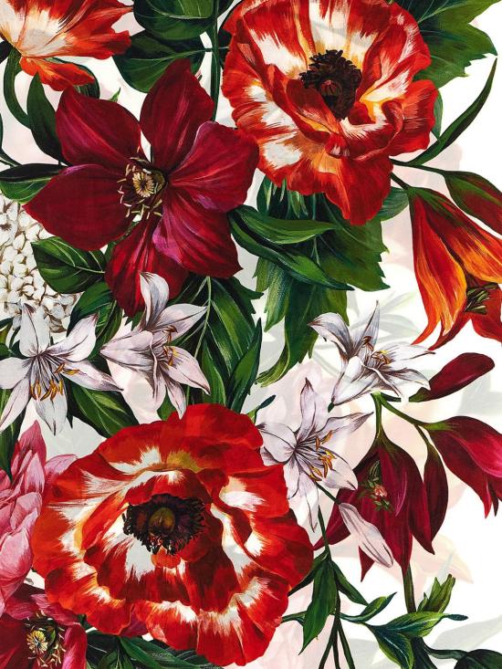 25FW 돌체앤가바나 머플러/스카프 FN090RGDC7A HA5QX Multicolor - DOLCE & GABBANA