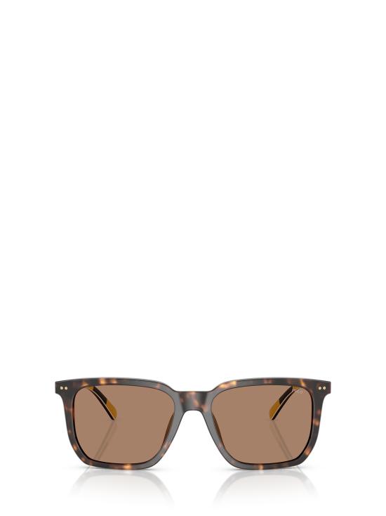 26FW 폴로 랄프로렌 선글라스 PH4224U 500373 SHINY DARK HAVANA