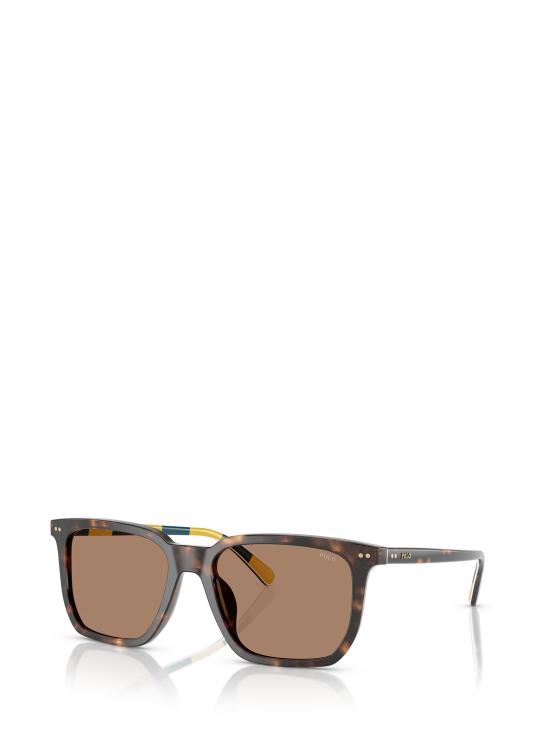 26FW 폴로 랄프로렌 선글라스 PH4224U 500373 SHINY DARK HAVANA - POLO RALPH LAUREN