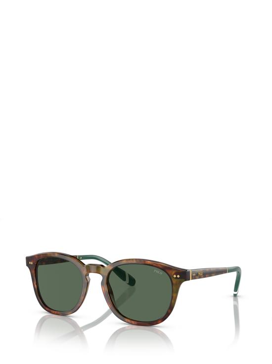 26FW 폴로 랄프로렌 선글라스 PH4206 501771 SHINY BROWN TORTOISE - POLO RALPH LAUREN