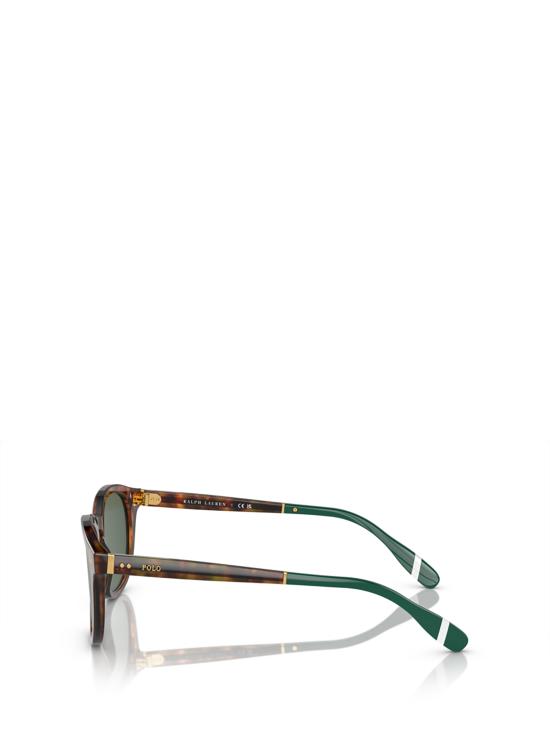 26FW 폴로 랄프로렌 선글라스 PH4206 501771 SHINY BROWN TORTOISE - POLO RALPH LAUREN