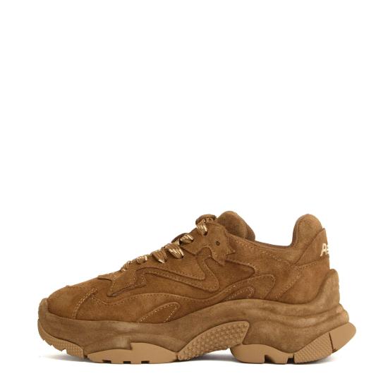 25FW 아쉬 스니커즈 ADDICTBIS06 BEIGE - ASH