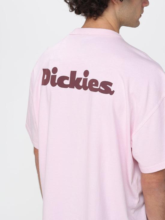 25FW 디키즈 반팔 티셔츠 DK0A87QR K731 Pink - DICKIES