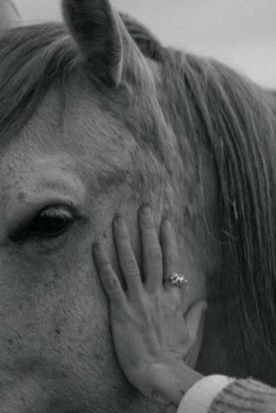  Elise Estelle 반지 엘리스 에스텔 슈발리에 링 스털링 실버 링 - OTHER BRANDS