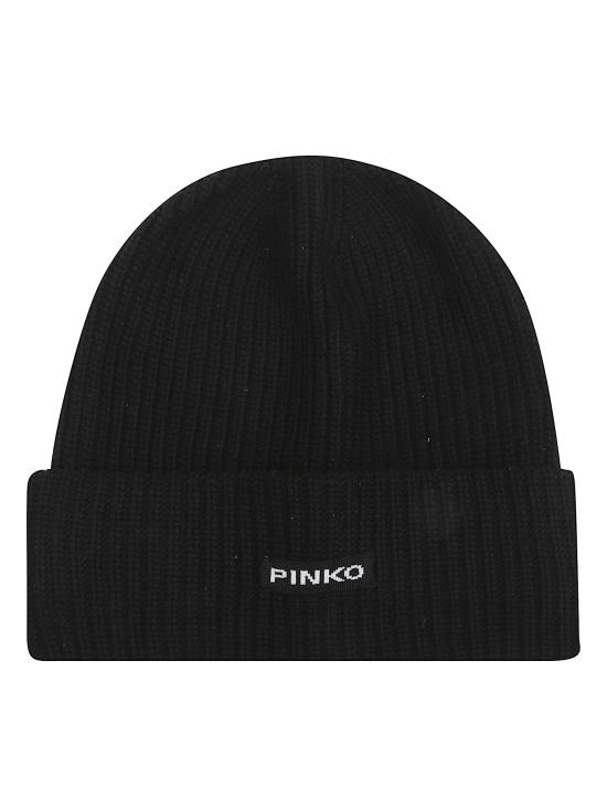 25FW 핑코 비니 105993 A2Z4 Z99 NERO LIMOUSINE