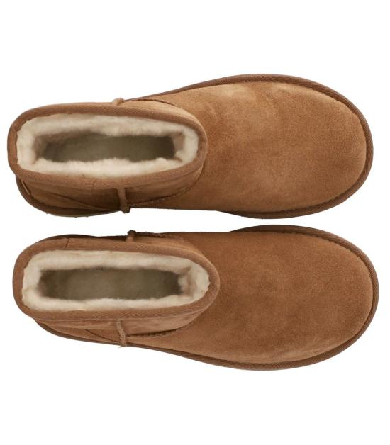 25FW 어그 클래식 미니 플랫폼 부츠 1134991 CHE 36 Brown - UGG