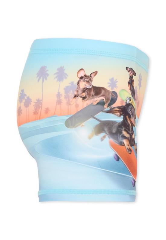 26SS [키즈] 몰로 스윔팬츠 8S26P310 5195 MULTICOLOR - MOLO