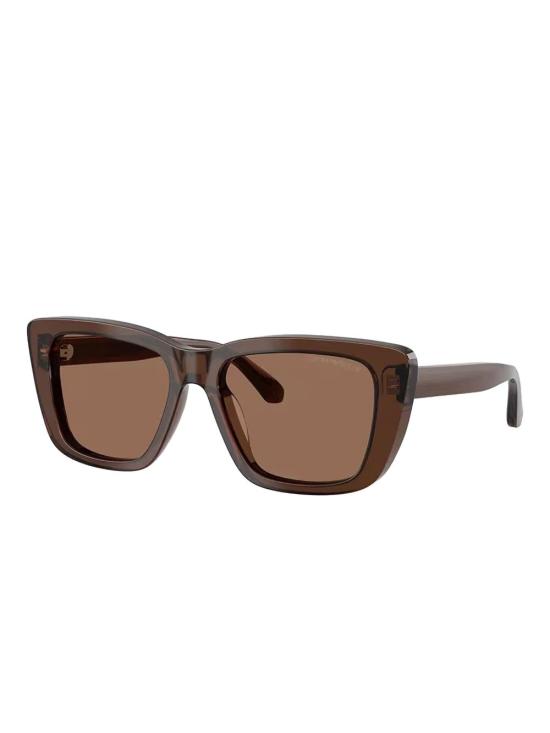 25FW 엠포리오 아르마니 선글라스 0EA4246U 62517354 Brown - EMPORIO ARMANI