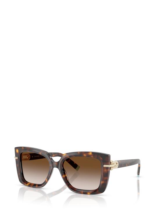 26FW 티파니앤코 선글라스 TF4199 80153B HAVANA - TIFFANY & CO