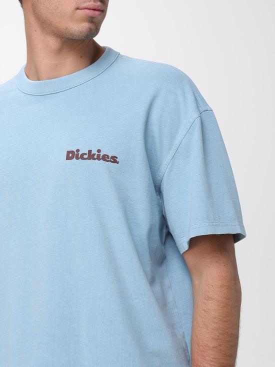 25FW 디키즈 반팔 티셔츠 DK0A87QR K661 Sky Blue - DICKIES