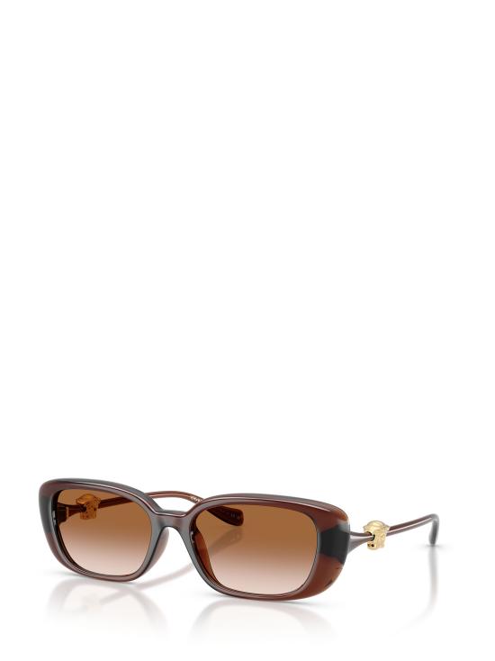 26FW 베르사체 선글라스 VE4504D 533213 TRANSPARENT BROWN - VERSACE