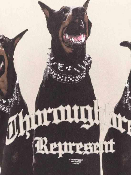 25FW 리프레젠트 반팔 티셔츠 MLM41135002 White - REPRESENT