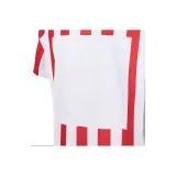  나이키 트레이닝 티셔츠 HJ4587 615 DOM - NIKE