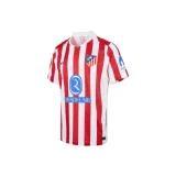  나이키 트레이닝 티셔츠 HJ4587 615 DOM