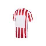  나이키 트레이닝 티셔츠 HJ4587 615 DOM - NIKE