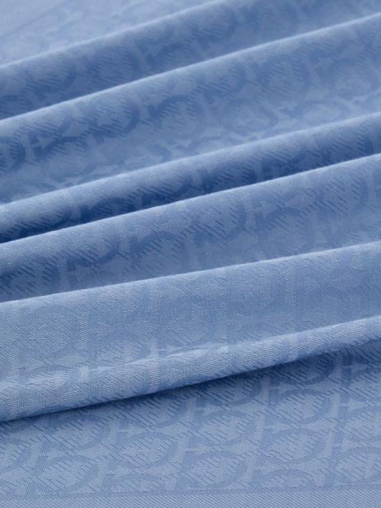 26SS 살바토레 페라가모 머플러/스카프 327987 791132064 Clear Blue - SALVATORE FERRAGAMO