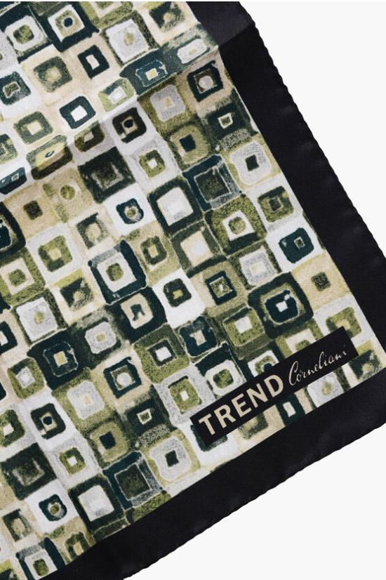  꼬르넬리아니 머플러/스카프 74UF32 4820669 054 Green - CORNELIANI