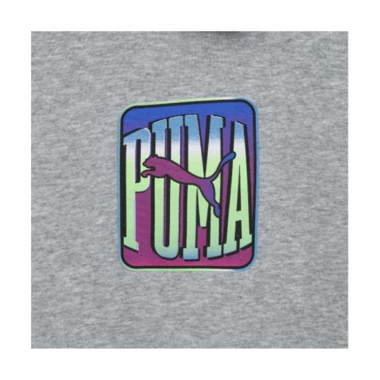 25FW 푸마 후드 티셔츠 95030801 DOM - PUMA