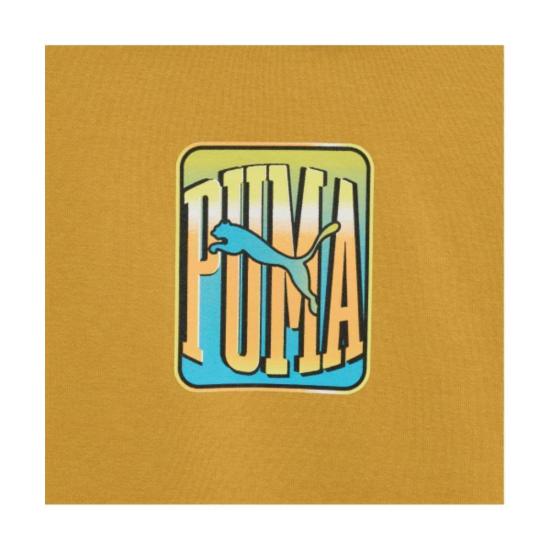 25FW 푸마 후드 티셔츠 95030802 DOM - PUMA