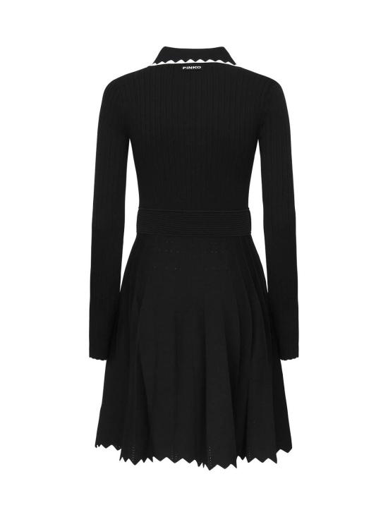 25FW 핑코 미디 스커트 105422A2PTZZ2 Black - PINKO