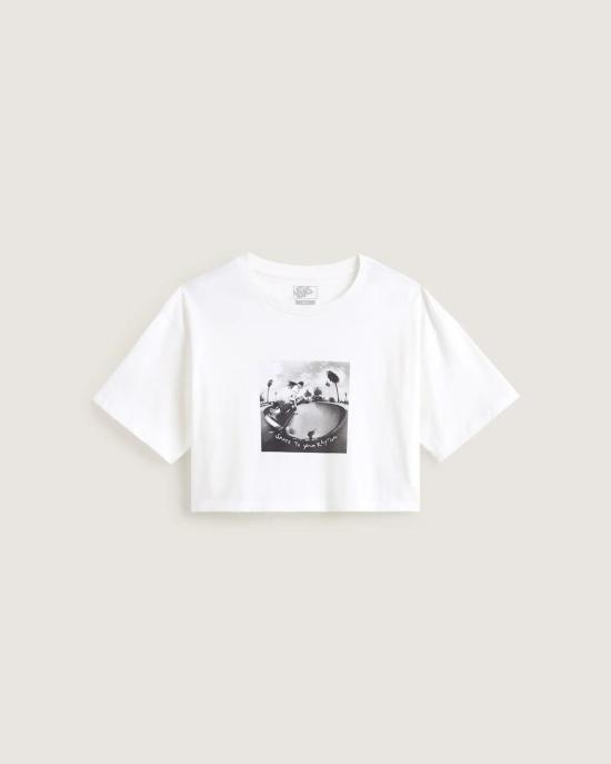  반스 반팔 티셔츠 VN000RCHWHT1 DOM